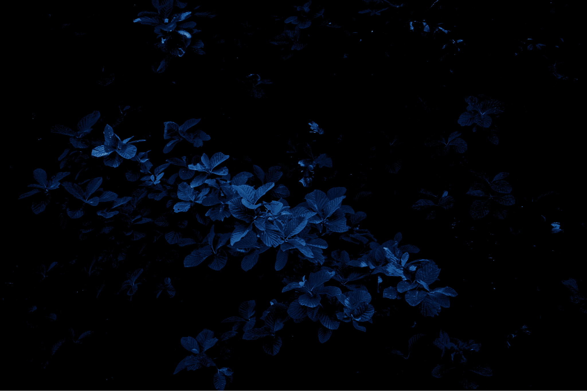 Muli Mekhanai Hero Background